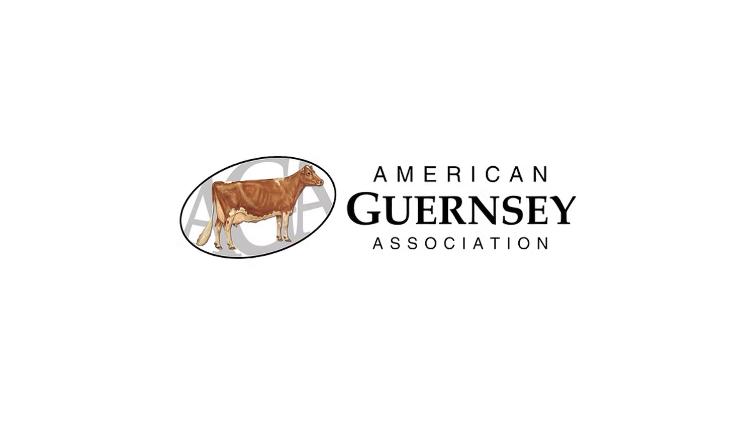 American Guernsey Association