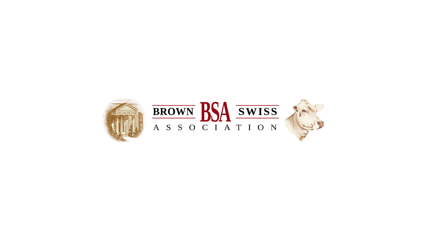 Brown Swiss Association