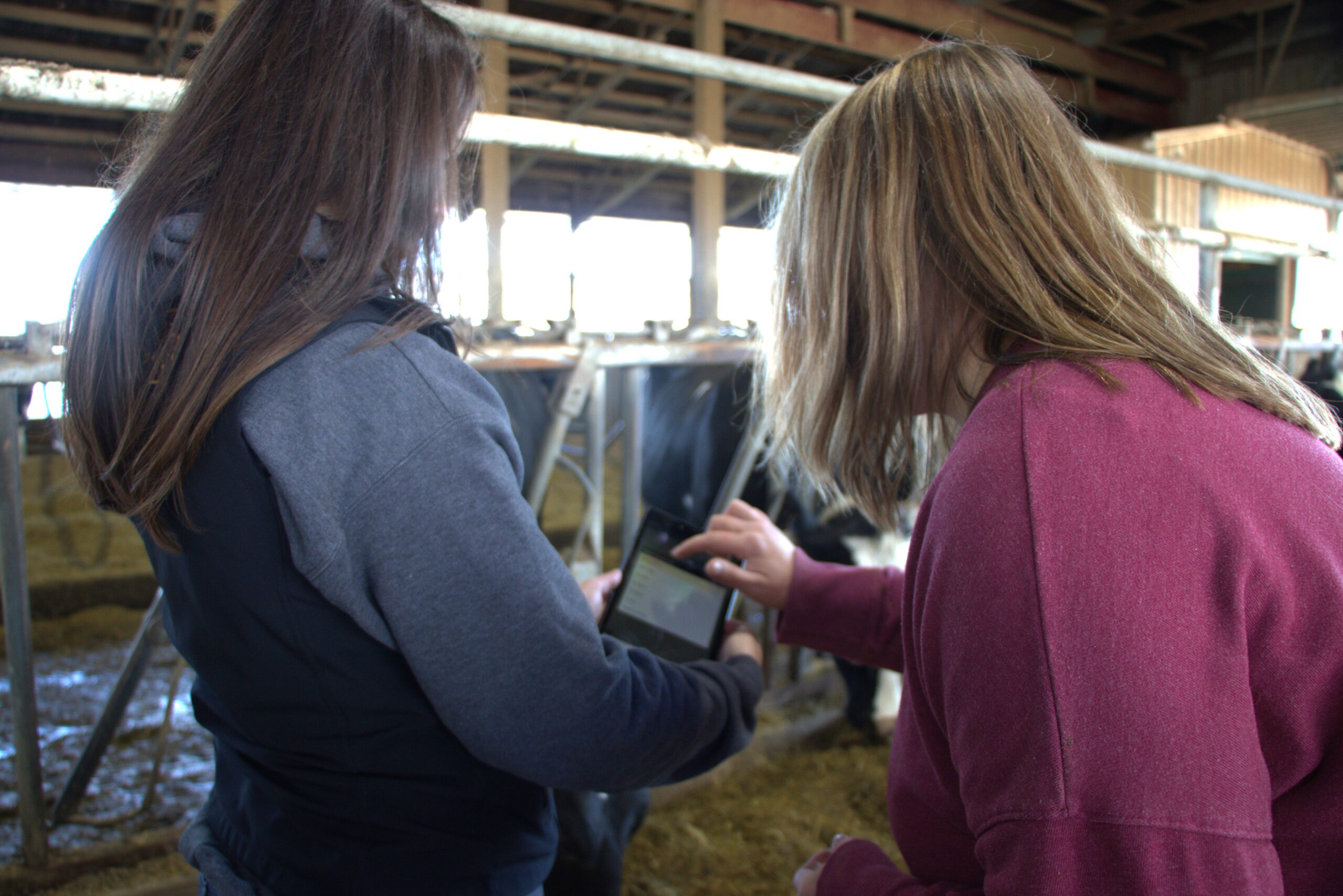 herdhq barn help