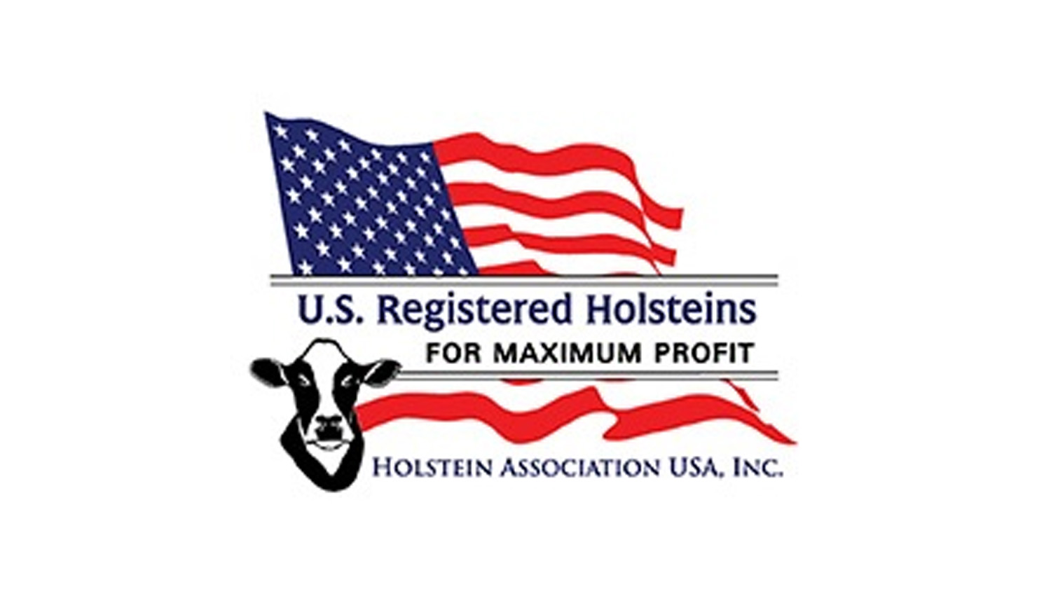 US Registered Holsteins